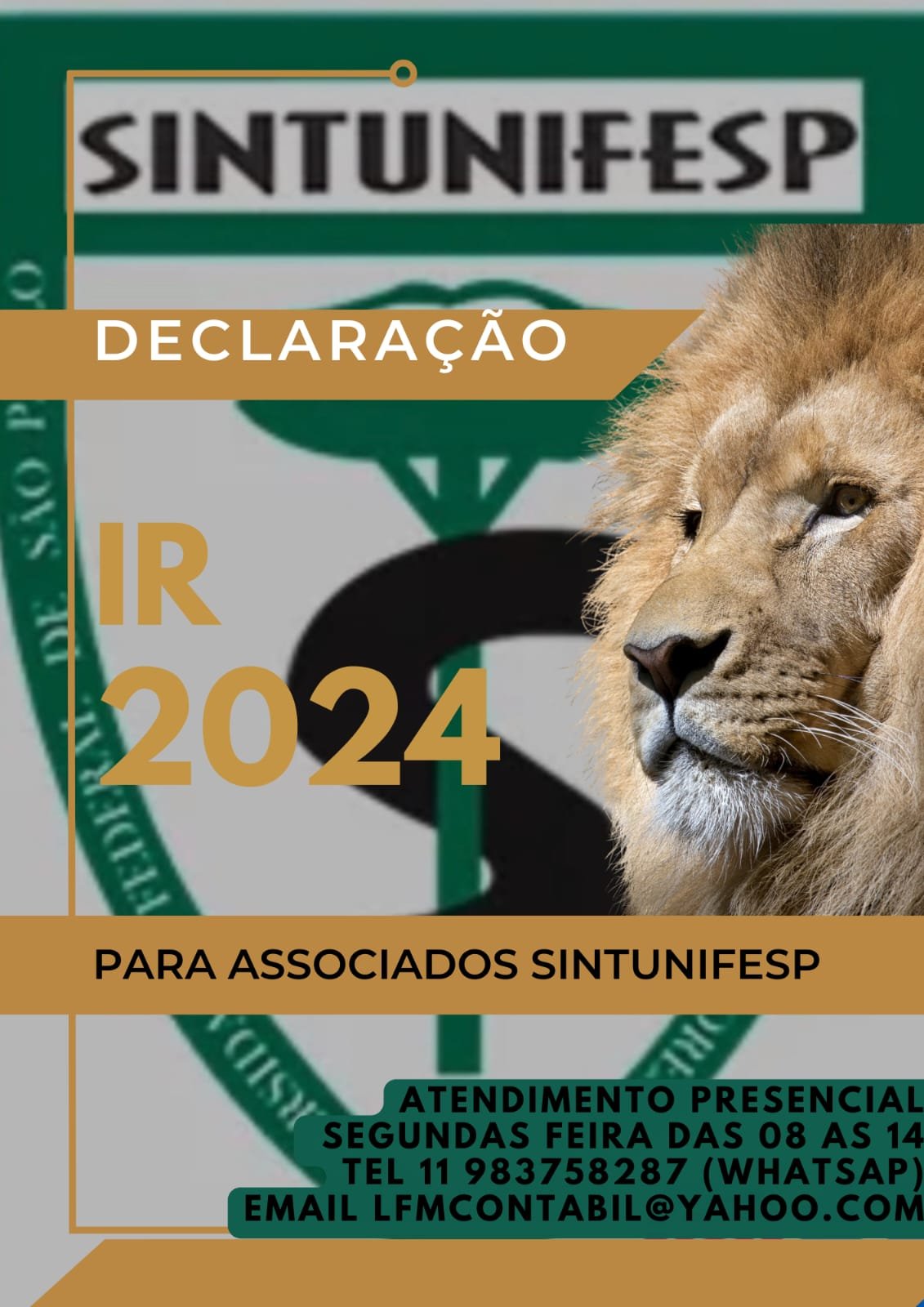 Documentos básicos para IR 2024